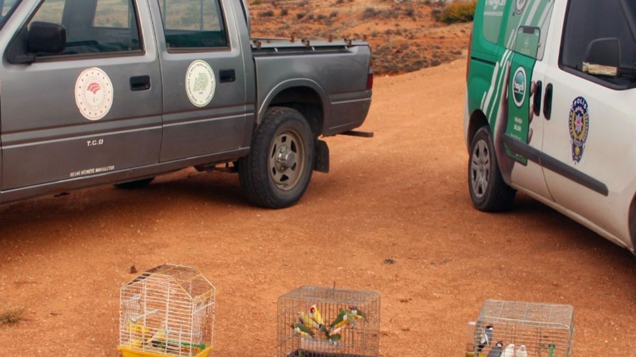 Kırşehir’de DKMP’den Kaçak Kuş Operasyonu!