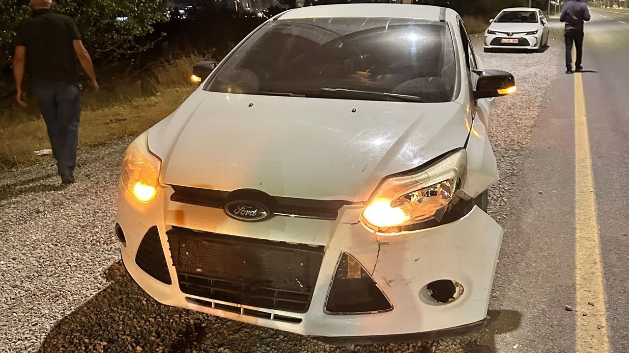 Malatya’da otomobilin çarptığı domuz telef oldu