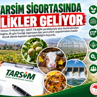 EKONOMİ