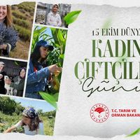 GÜNDEM