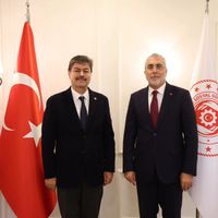 SİYASET