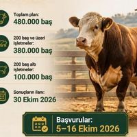 EKONOMİ