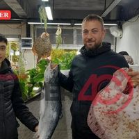 ÖZEL
