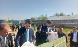Kırşehir'de çölyak hastaları için karabuğday ekimi başladı