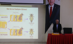 Kırşehir'de arıcılık ve bal üretimi artıyor mu?