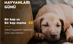 "Onlar bizim emanetimiz!"