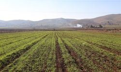 Kuraklık endişesi Kırşehirli çiftçileri korkutuyor
