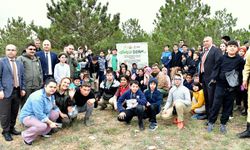 Kırşehir'de “Orman Benim” Projesi
