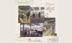 Kırşehir İl Tarım Müdürlüğü hayvan sağlığı ve refahı için çalışmalarını sürdürüyor