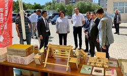 Kırşehir’de bal üretimi artırılacak
