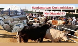 Satılamayan kurbanlıklara ne olacak?