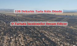 120 dekarlık tarla küle döndü