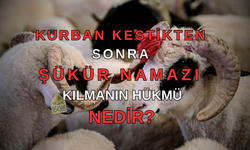 Kurban sonrası şükür namazı hakkında bilinmesi gerekenler!