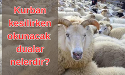 Kurban keserken hangi dualar edilir? Teşrik Tekbiri nedir?