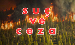 Orman yangınlarına karşı ağır cezalar!