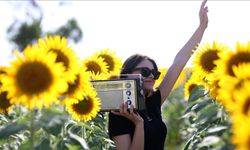 Trakya'da "gündöndü" tarlaları agro turizmine katkı sunuyor