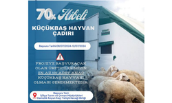 Kırşehir'de küçükbaş hayvan yetiştiricilerine %70 hibeli çadır desteği