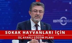 Sokak hayvanlarını uyutma tartışmalarına son!