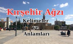 Miskin’den Zibil’e Kırşehir'in yöresel kelimeleri