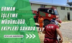Bozkırın ormanlarını korumak için yangın emniyet yolları ve şeritleri yapılıyor
