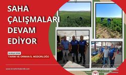 Kırşehir Tarım ve Orman İl Müdürlüğü saha çalışmalarına devam ediyor