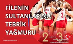 Vekil Erkan'dan A Milli Voleybol Takımı'na tebrik