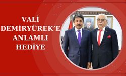 Emekli öğretmenden Vali Demiryürek'e anlamlı akrostiş şiir