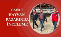 Müdür İlmeç'ten canlı hayvan pazarında inceleme