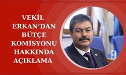 Necmettin Erkan, TBMM Kürsüsünde 2025 bütçesini ve milli birliği vurguladı