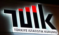 TÜİK 2024 Yoksulluk İstatistiklerini açıkladı