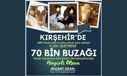 70 BİN BUZAĞI’NIN KÜPELEME İŞLEMİ YAPILACAK