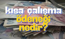 Kimler Başvurabilir, Nasıl Alınır?