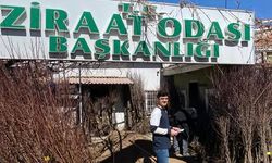 Aşılı ve sertifikalı fidanlar satışta!