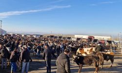 Vatandaşlar yoğun ilgi gösteriyor