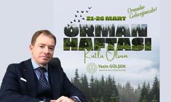 Gülşen’den Orman Haftası mesajı: “Ormanlar geleceğimizdir”