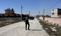 Konya'da köpeklerin saldırdığı bebeğin ölümüne ilişkin soruşturma başlatıldı