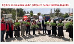 Kadın çiftçiler, sebze yetiştiriciliği için kolları sıvadı