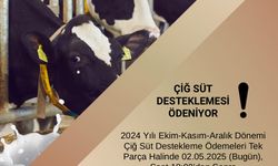 ÇİĞ SÜT DESTEKLERİ HESAPLARA YATIRILDI