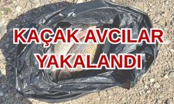 Kırşehir'de kaçak avcılara suçüstü