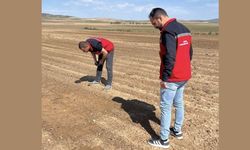 Selden zarar gören tarım arazileri yerinde inceleniyor