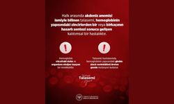 Kırşehir İl Sağlık Müdürlüğü’nden Dünya Talasemi Günü bilgilendirmesi