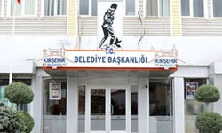 "Köpek ve kedi katliamı iddiası" ortalığı karıştırdı