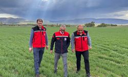 İl Müdürü Taş, saha incelemelerine  devam ediyor