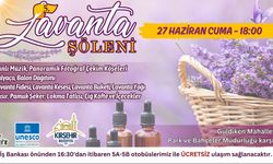 Kırşehir Lavanta Bahçesi'nde Şölen Zamanı