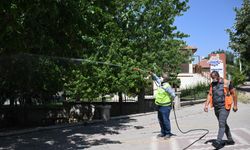 Sivrisinek ve Haşerelere Karşı Kırşehir Belediyesi’nden Yoğun Mücadele
