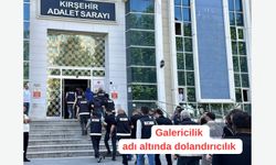 Yağma, tefecilik ve dolandırıcılık iddiasıyla 9 zanlı yakalandı