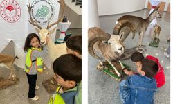 Çocuklar Anadolu yaban hayvanlarına bayıldı
