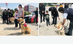 Jandarma sergisinin maskotu arama köpeği “Tapa”