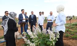 Milletvekili Erkan Kampüste