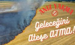 Tarım Arazilerine Zarar, Doğaya İhanet: Anız Yakma!